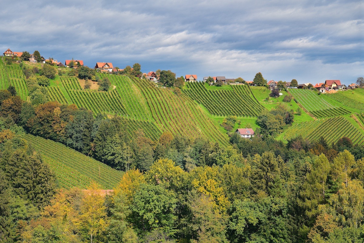 Schilcherland Rallye