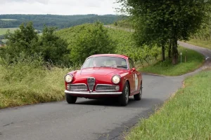 Alfa im Weingarten_reduziert