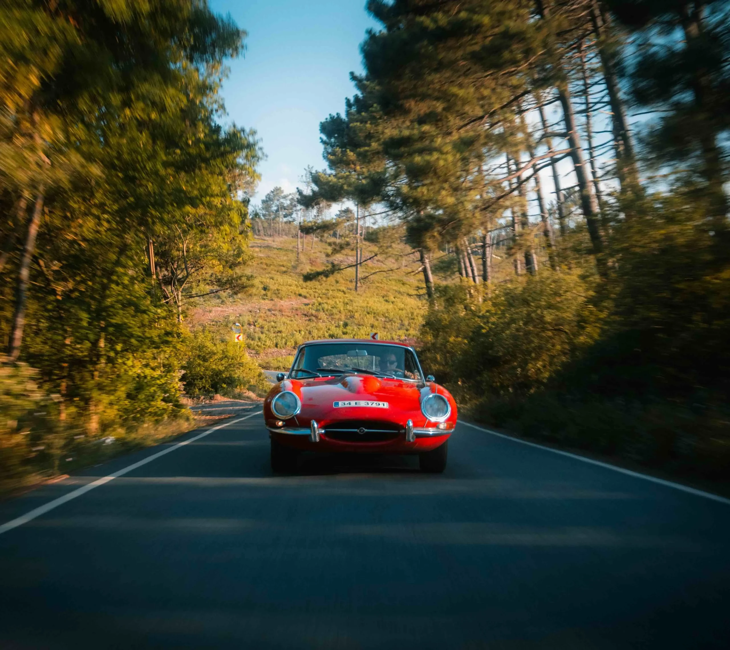 Roter-Jaguar-auf-der-Straße-Kopie Roter Jaguar